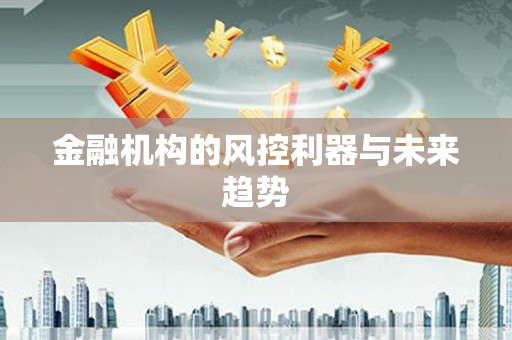 龙亭金融机构的风控利器与未来趋势