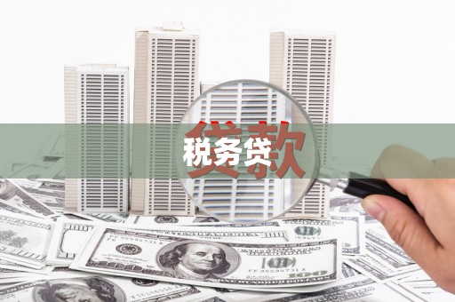 龙亭税务贷