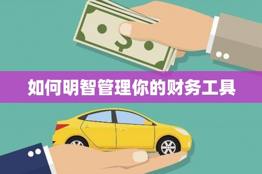龙亭如何明智管理你的财务工具