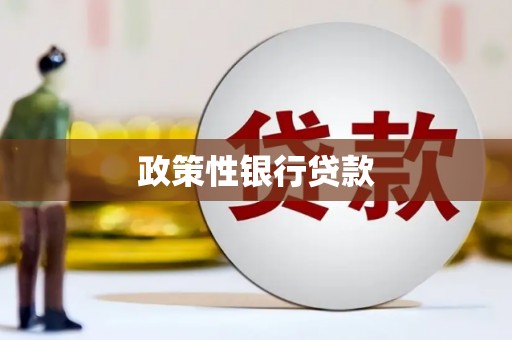 龙亭政策性银行贷款