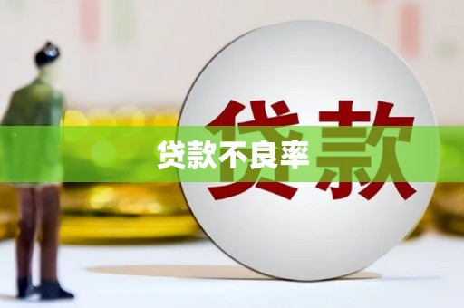 龙亭贷款不良率