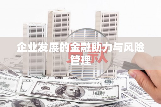 龙亭企业发展的金融助力与风险管理