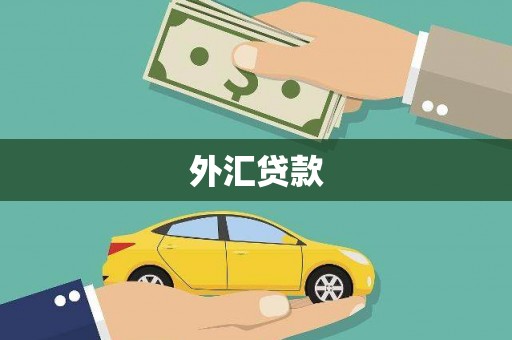 龙亭外汇贷款
