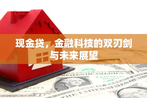龙亭现金贷，金融科技的双刃剑与未来展望