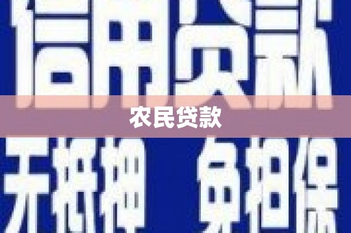 龙亭农民贷款