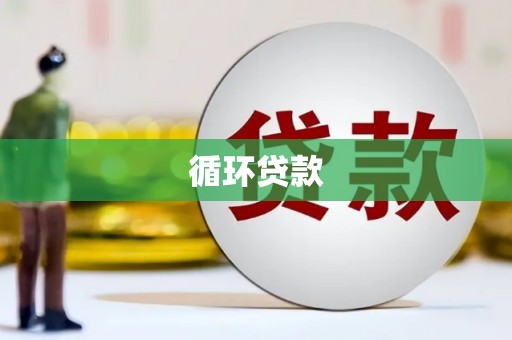 龙亭循环贷款
