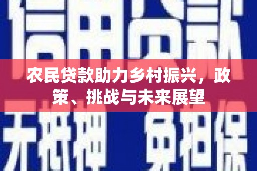 龙亭农民贷款助力乡村振兴，政策、挑战与未来展望