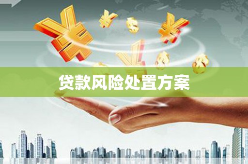 龙亭贷款风险处置方案