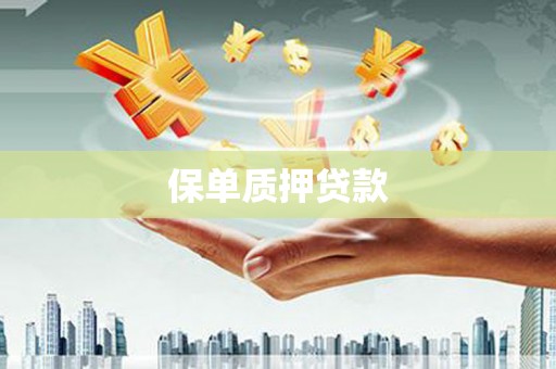 龙亭保单质押贷款