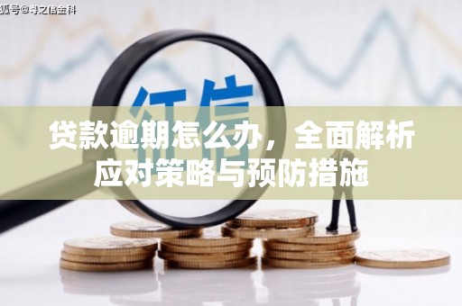 龙亭贷款逾期怎么办，全面解析应对策略与预防措施