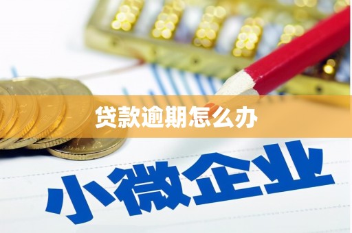 龙亭贷款逾期怎么办
