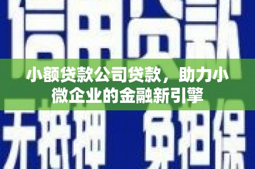 龙亭小额贷款公司贷款，助力小微企业的金融新引擎