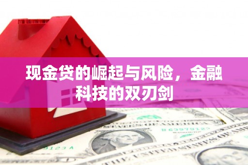 龙亭现金贷的崛起与风险，金融科技的双刃剑