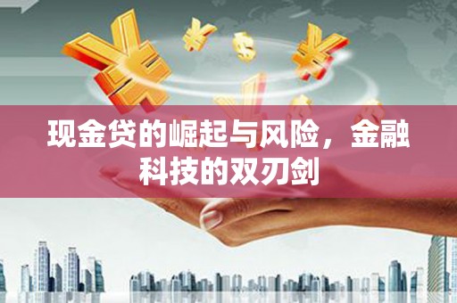 龙亭现金贷的崛起与风险，金融科技的双刃剑
