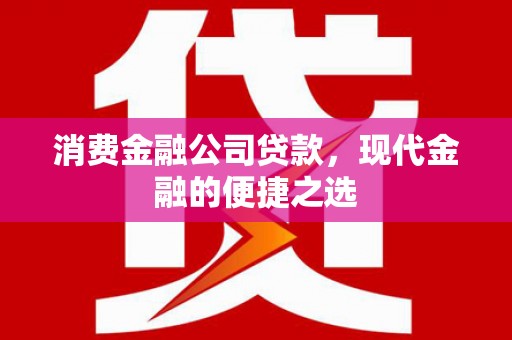 龙亭消费金融公司贷款，现代金融的便捷之选