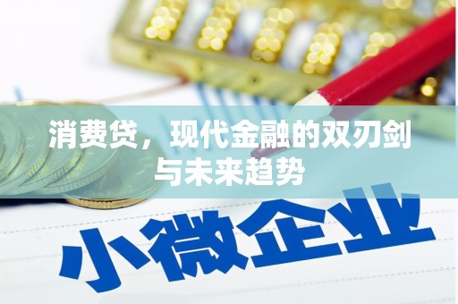 龙亭消费贷，现代金融的双刃剑与未来趋势