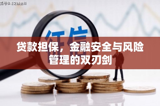 龙亭贷款担保，金融安全与风险管理的双刃剑