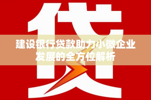龙亭建设银行贷款助力小微企业发展的全方位解析