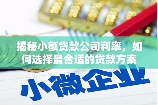 龙亭揭秘小额贷款公司利率，如何选择最合适的贷款方案