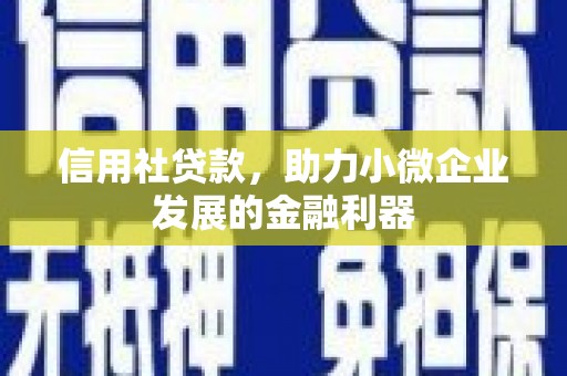 龙亭信用社贷款，助力小微企业发展的金融利器
