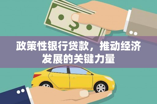 龙亭政策性银行贷款，推动经济发展的关键力量