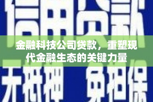 龙亭金融科技公司贷款，重塑现代金融生态的关键力量