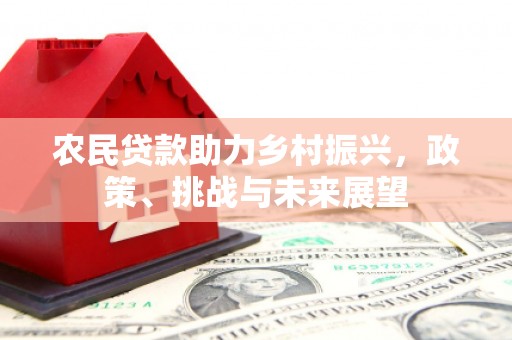龙亭农民贷款助力乡村振兴，政策、挑战与未来展望
