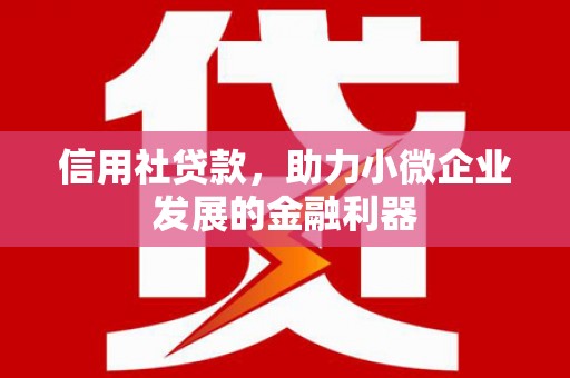 龙亭信用社贷款，助力小微企业发展的金融利器