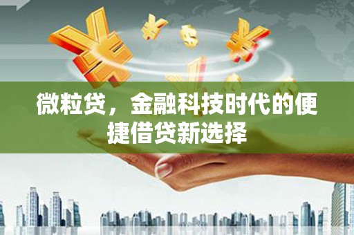龙亭微粒贷，金融科技时代的便捷借贷新选择