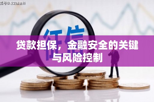 龙亭贷款担保，金融安全的关键与风险控制