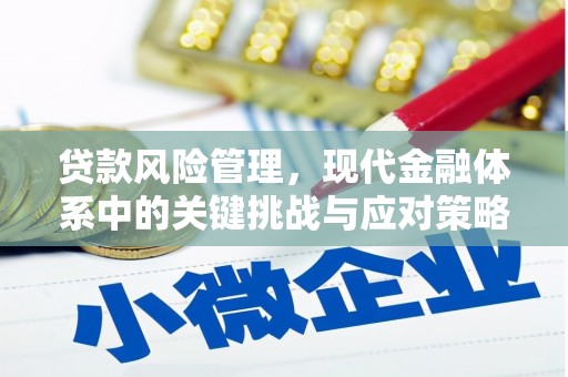龙亭贷款风险管理，现代金融体系中的关键挑战与应对策略