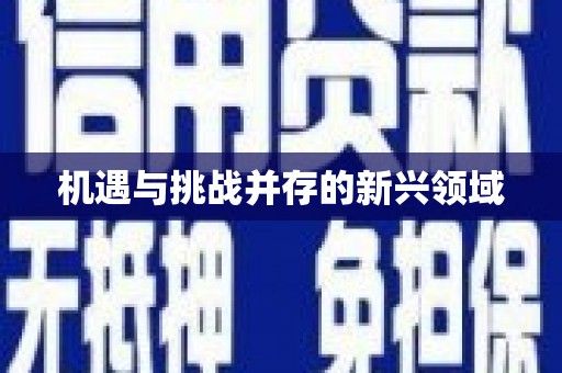 龙亭机遇与挑战并存的新兴领域
