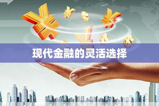 龙亭现代金融的灵活选择