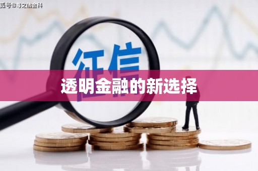 龙亭透明金融的新选择