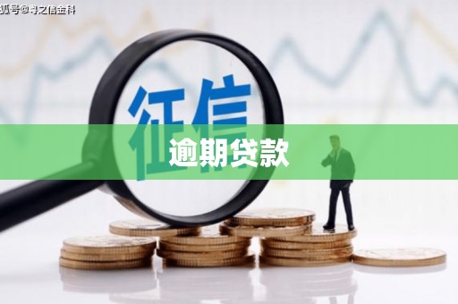 龙亭逾期贷款